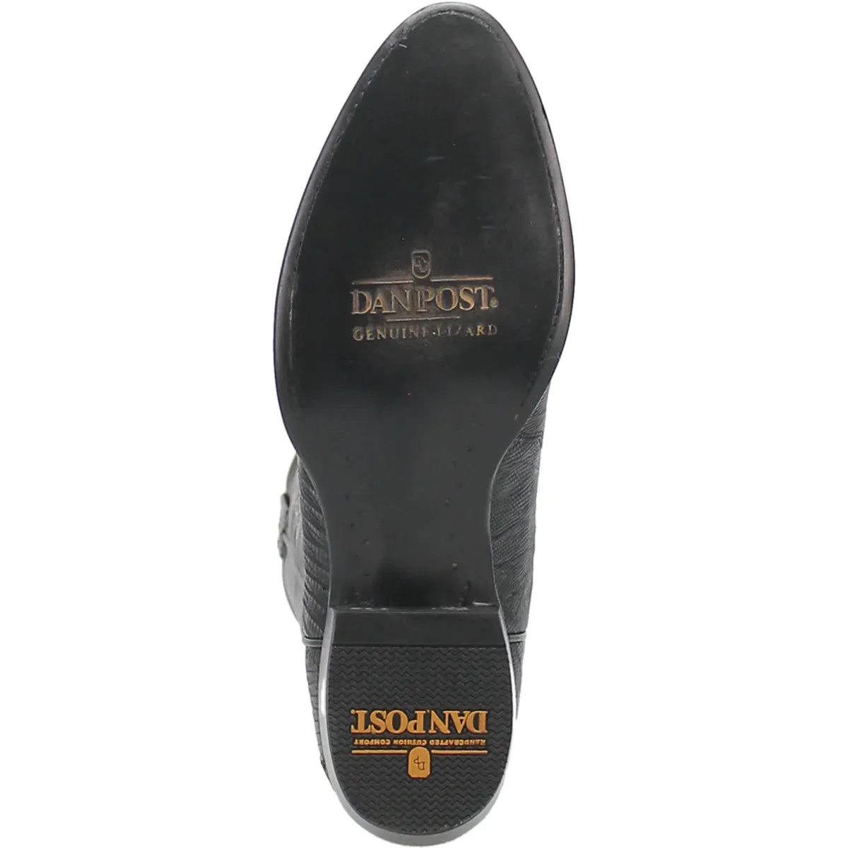 Dan Post Men's Winston Lizard R Toe Boot | DP3050R