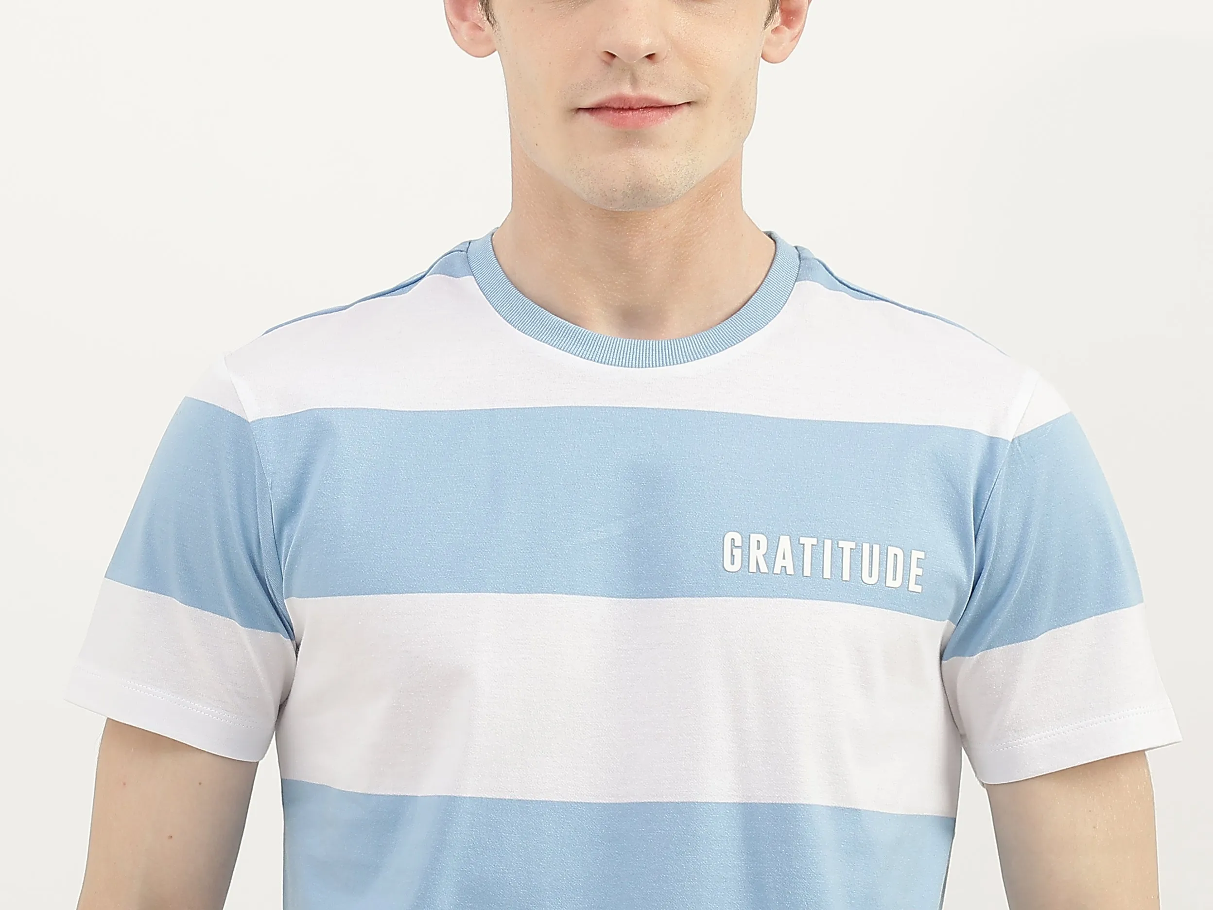 Men Striped Round Neck T-Shirt