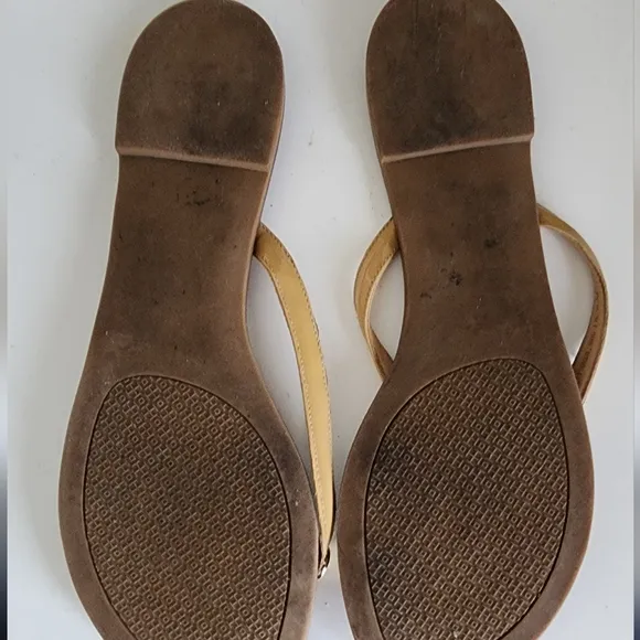 Tory Burch Terra Thong Honey Tan Flip Flops 9